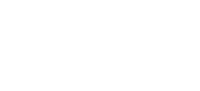 AVIASERVICE